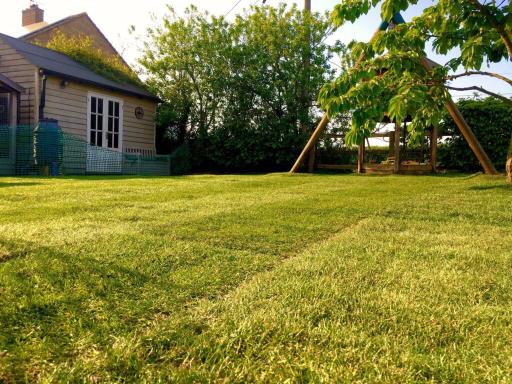 Recently re-levelled garden lawn in Chelmsford with even, freshly prepared soil and landscaped borders, ready for turfing or planting.